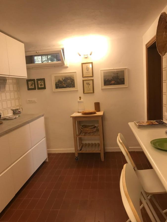 Appartamento Campo al Cerro Bolgheri Esterno foto