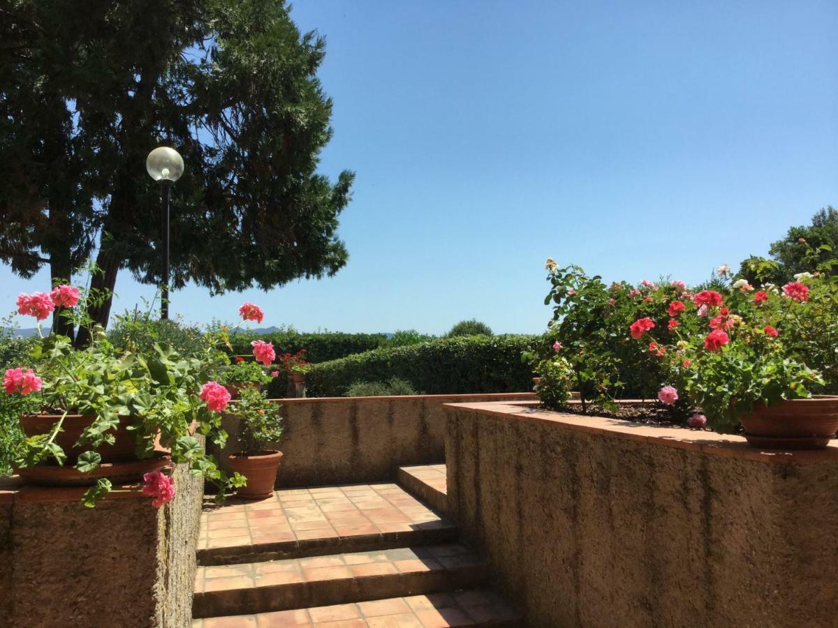 Appartamento Campo al Cerro Bolgheri Esterno foto