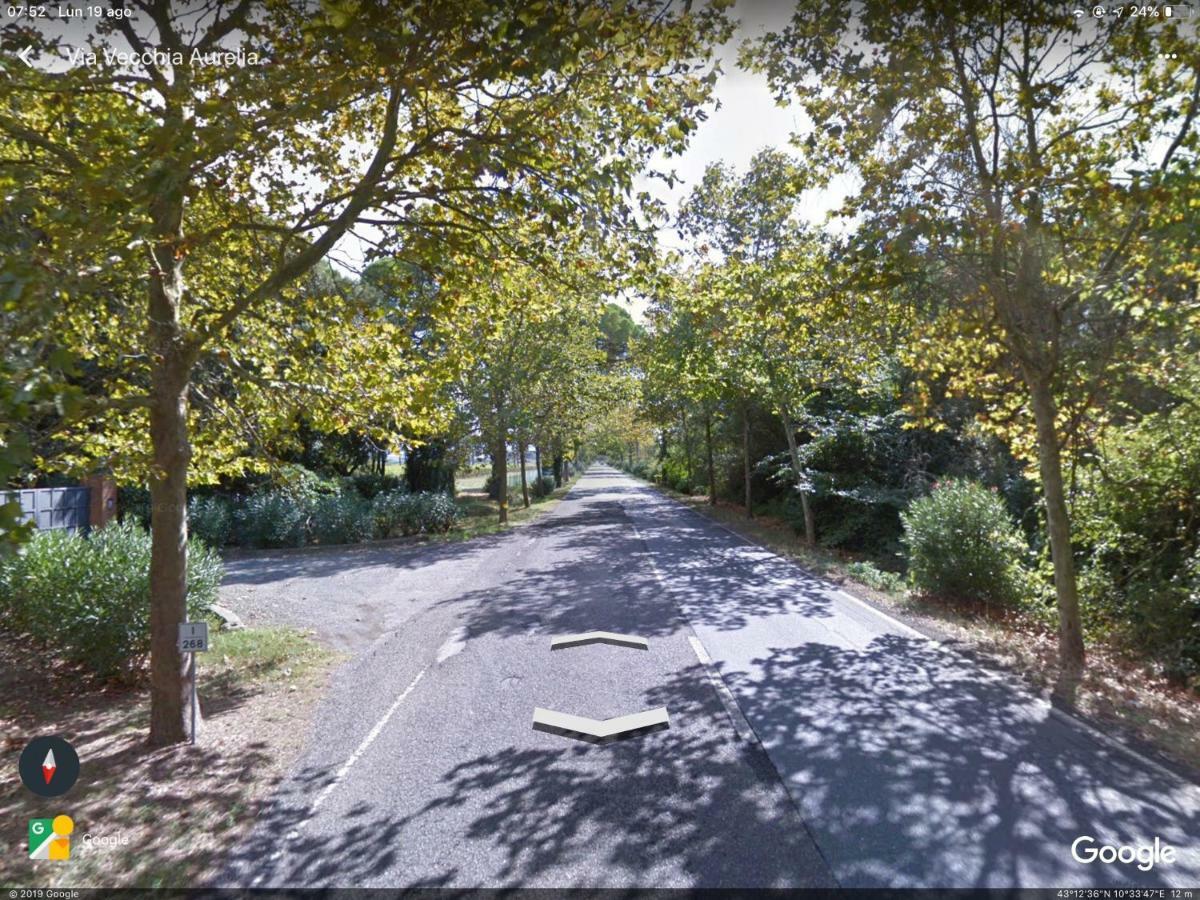 Appartamento Campo al Cerro Bolgheri Esterno foto
